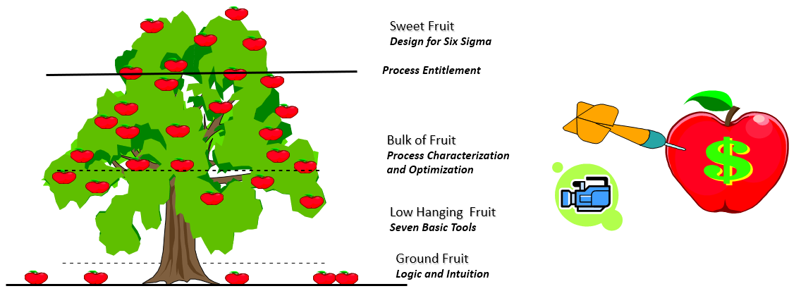 Harvesting the Fruit of Process Improvement